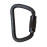 Linkk2 D Lock Carabiner (ANSI)